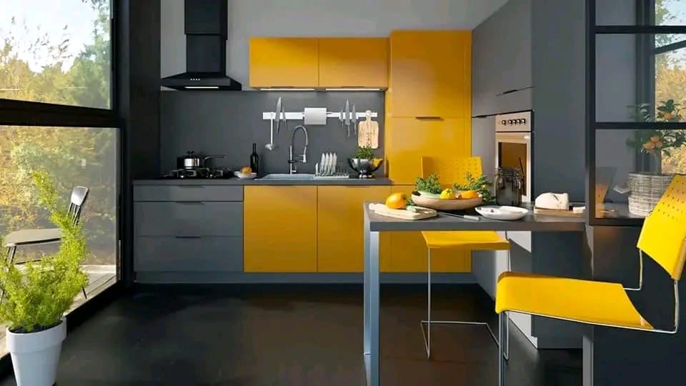 IMG-20241129-WA0022